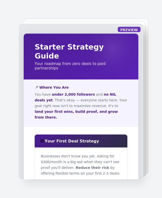 Strategy Guide Preview